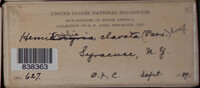 Image Associated With the Occurence